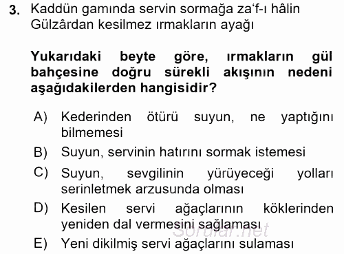XVI. Yüzyıl Türk Edebiyatı 2017 - 2018 3 Ders Sınavı 3.Soru
