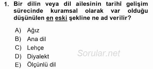 Türk Dili 1 2016 - 2017 3 Ders Sınavı 1.Soru