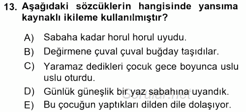 Türk Dili 1 2016 - 2017 3 Ders Sınavı 13.Soru