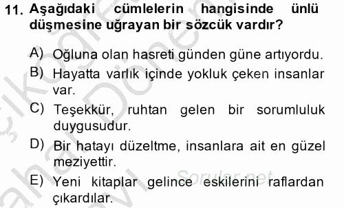 Türk Dili 2 2013 - 2014 Ara Sınavı 11.Soru