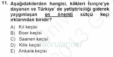 Temel Zootekni 2012 - 2013 Ara Sınavı 11.Soru