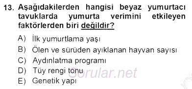 Temel Zootekni 2012 - 2013 Ara Sınavı 13.Soru