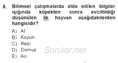 Temel Zootekni 2012 - 2013 Ara Sınavı 8.Soru
