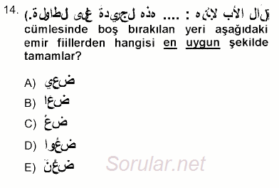 Arapça 3 2012 - 2013 Ara Sınavı 14.Soru