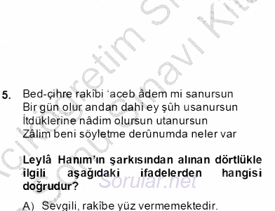 XIX. Yüzyıl Türk Edebiyatı 2012 - 2013 Dönem Sonu Sınavı 6.Soru