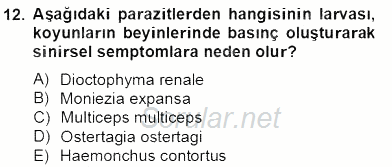 Temel Veteriner Parazitoloji 2012 - 2013 Dönem Sonu Sınavı 12.Soru
