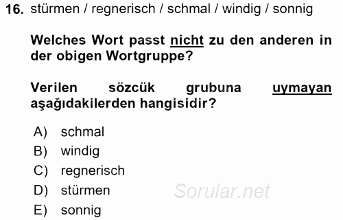 Almanca 2 2015 - 2016 Tek Ders Sınavı 16.Soru