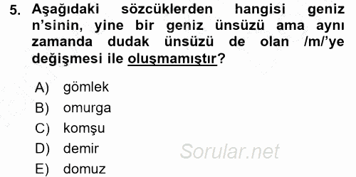 Türkçe Ses Bilgisi 2015 - 2016 Dönem Sonu Sınavı 5.Soru