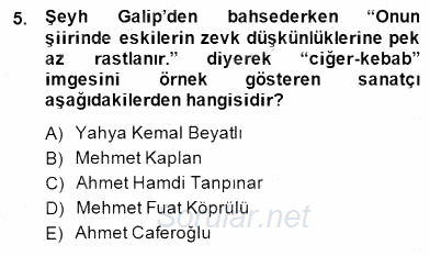 XIX. Yüzyıl Türk Edebiyatı 2014 - 2015 Dönem Sonu Sınavı 5.Soru