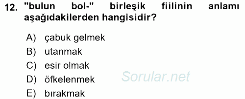 XI-XIII. Yüzyıllar Türk Dili 2015 - 2016 Ara Sınavı 12.Soru