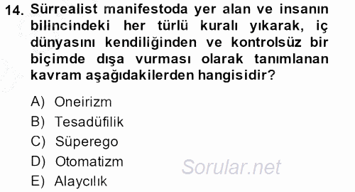 Batı Edebiyatında Akımlar 2 2013 - 2014 Ara Sınavı 14.Soru