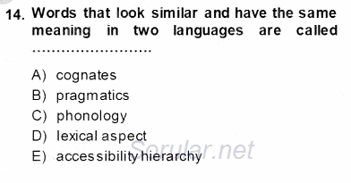 Dil Edinimi 2013 - 2014 Ara Sınavı 14.Soru