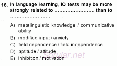 Dil Edinimi 2013 - 2014 Ara Sınavı 16.Soru